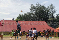 8 Manfaat, Teknik Dasar Bermain Voly yang Perlu Dikuasai