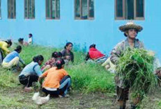 Petani Gotong Royong Bersihkan Saluran Irigasi