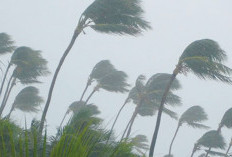 Camat Imbau Warga Waspada Cuaca Ekstrem 11–18 Desember 2025