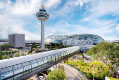 Menurut Skytrax! Inilah Deretan Bandara Paling Mewah di Dunia Tahun 2025