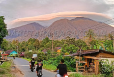 Studi Pariwisata Jangan Abai Fungsi Hutan 