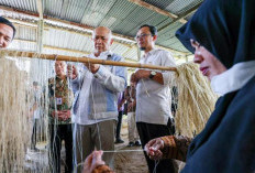 Menkop UKM Dukung Perkembangan Serat Rami Dongkrak Industri Tekstil Nasional