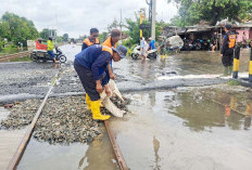 KAI Perbaiki Lintasan Terdampak Banjir, Keselamatan Jadi Prioritas