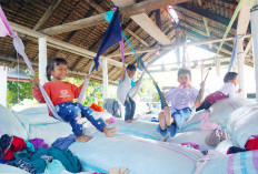 Pemerintah Perkuat Layanan Kesehatan dan Pendidikan Pascabencana di Wilayah Terdampak