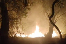 Dampak Lahan Gambut Kebakar, Mukomuko Diselimuti Kabut Asap