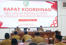 Program Tahun 2025, Kinerja OPD Diapresiasi