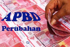 Kades Minta Gubernur Kembalikan APBD Perubahan yang Disahkan DPRD 