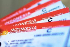 Khusus Pemotor, Tahun Depan Ada SIM Baru Lagi, SIM Indonesia Juga Berlaku di ASEAN