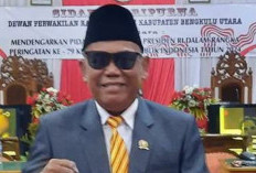 Dewan Masih Cermati Raperda Kearsipan Pemkab Bengkulu Utara, Tommy Sitompul : Kita Akan Stuba ke DPRD Bogor