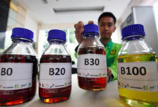 Biodiesel sebagai Solusi Energi Berkelanjutan