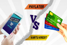 Pay Later vs Kartu Kredit, Mana yang Lebih Menguntungkan? 