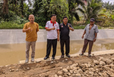 Air Mengalir Lancar, Sawah di Manjunto Kiri Siap Ditanami Awal 2026