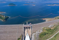 Mengulas Mitos Buaya Putih Serta Sejarah Waduk Jatigede Sumedang