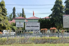 DAK Dipangkas Habis, Jalan Sentra Produksi Perikanan Gagal Dibangun