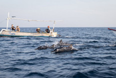 Pesona Tersembunyi di Bali Utara