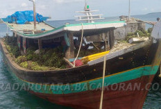 Hasil Bumi Pulau Enggano Sulit Keluar, Bupati Bersurat ke Danlanal