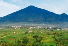 Mengulas Gunung Ciremai Tertinggi Di Kuningan, Gunung Magmatik Ada Jejak Letusan