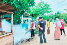 Kasus DBD di Mukomuko Turun Drastis, Kesadaran Warga Kian Kuat