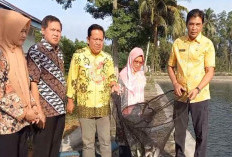 Jelang Idul Adha, DKP Bengkulu Bagikan 3 Ton Ikan Bandeng