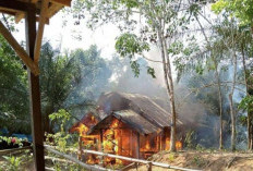 Suami Kerja ke Tambang, Istri Cari Gas. Rumah KPM PKH Air Sebayur Terbakar Habis