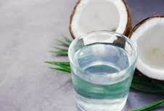  Jangan Dibuang, Ini 6 Manfaat Minum Air Kelapa Tua Bagi Kesehatan Tubuh