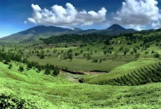 Mitos Gunung Kendang, Jejak Sejarah, Asal Usul dan Cerita Mistis di Balik Alam Perawan 