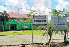 Mukomuko Bidik Lonjakan Produksi Pangan 2026