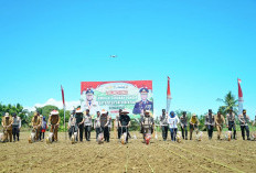 Lomba Ketahanan Pangan SADESAHE, Rp 2,25 M Dikucurkan