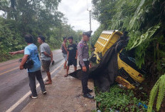 Berpapasan Saat Nyalip, Sopir Dump Truk Kehilangan Nyawa