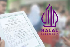 Mudah dan Gratis! Begini Cara UMKM Dapat Sertifikat Halal dari Pemerintah