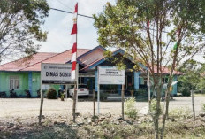 12 Ribu Warga Mukomuko Disurvei untuk Data Sosial Nasional