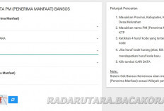 Bansos PKH atau BPNT Cair! Cek di cekbansos.kemensos.go.id