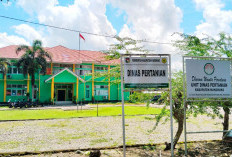 Waspadai Wabah Ngorok! Peternak di Selagan Raya Diminta Tidak Lengah