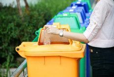 Patut untuk DItiru! Inilah Daftar 5 Negara dengan Pengelolaan Sampah Terbaik di Dunia