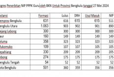 Ini Progres Usulan NIP PPPK Guru Provinsi Bengkulu