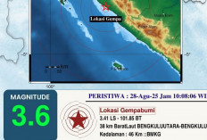 Membedah Sesar Citarik dan Megathrust Enggano, Dua Sumber Gempa yang Berbeda