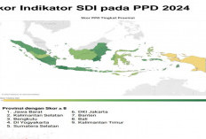 Skor Indikator SDI 2024 Lebih Dari 8, Bengkulu Sejajar Dengan Provinsi Besar