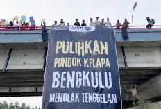 Desa Pondok Kelapa Terancam Tenggelam, Pemerintah Dituding Hanya Diam
