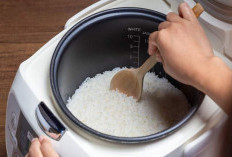 Ibu-Ibu Wajib Tahu ! Ini 7 Merek Rice Cooker, Yang Murah, Bagus Dan Berkualitas