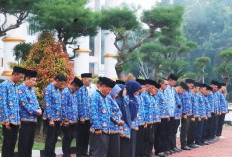 Kursi Eselon II Mukomuko Mulai Panas, Mutasi Akbar Segera Digelar