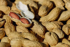 Benarkah Makan Kacang Bisa Picu Asam Urat Naik? Ini Fakta Mengejutkan yang Perlu Anda Tahu!