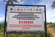 Area Konsesi PT API di Napal Putih Juga Disegel Satgas PKH