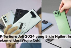 Buruan Kepoin! 5 Rekomendasi HP Terbaru Juli 2024, Speknya Bikin Ngiler..