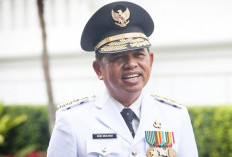 Tantangan Dedi Mulyadi, Sukses di Populer, Suksesi di MBG Jabar, Anggarannya Tembus 51 Triliun 