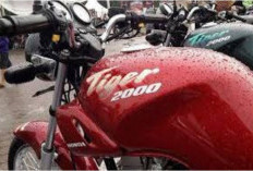Honda Tiger 2000, Si Macan Gahar 200cc Incaran yang Melawan Zaman 