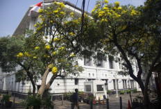 Menyusuri Sejarah dan Pesona Kota Tua: Ini 5 Rekomendasinya