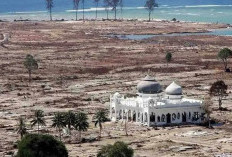 Memoar Dahsyatnya Sapuan Tsunami Aceh, Sekejab Suara Terdengar, Sekejap Kemudian Moksa