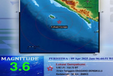 Jalur Megathrust Sumatera di Bengkulu Digoyang Gempa