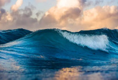 Tafsir Mimpi Terseret Ombak Besar: Pertanda Bahaya ataukah Selamat?