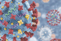 Kemenkes Pastikan Influenza A(H3N2) Subclade K tidak Lebih Parah, Situasi Nasional Terkendali